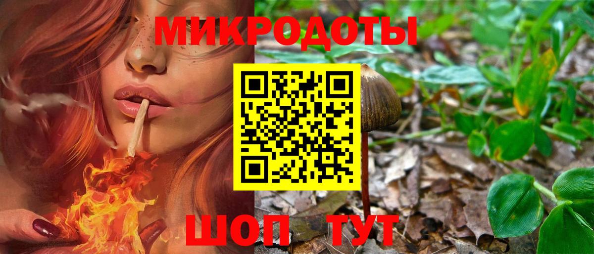 Галлюциногенные грибы Cubensis Семёнов