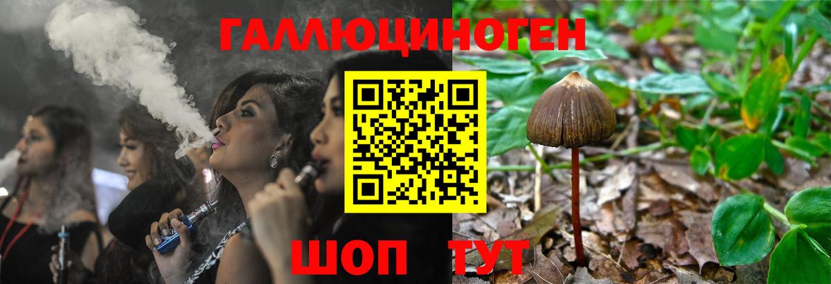 Галлюциногенные грибы Psilocybine cubensis  Псилоцибиновые грибы Magic Shrooms  Вход с VPN  Семёнов 